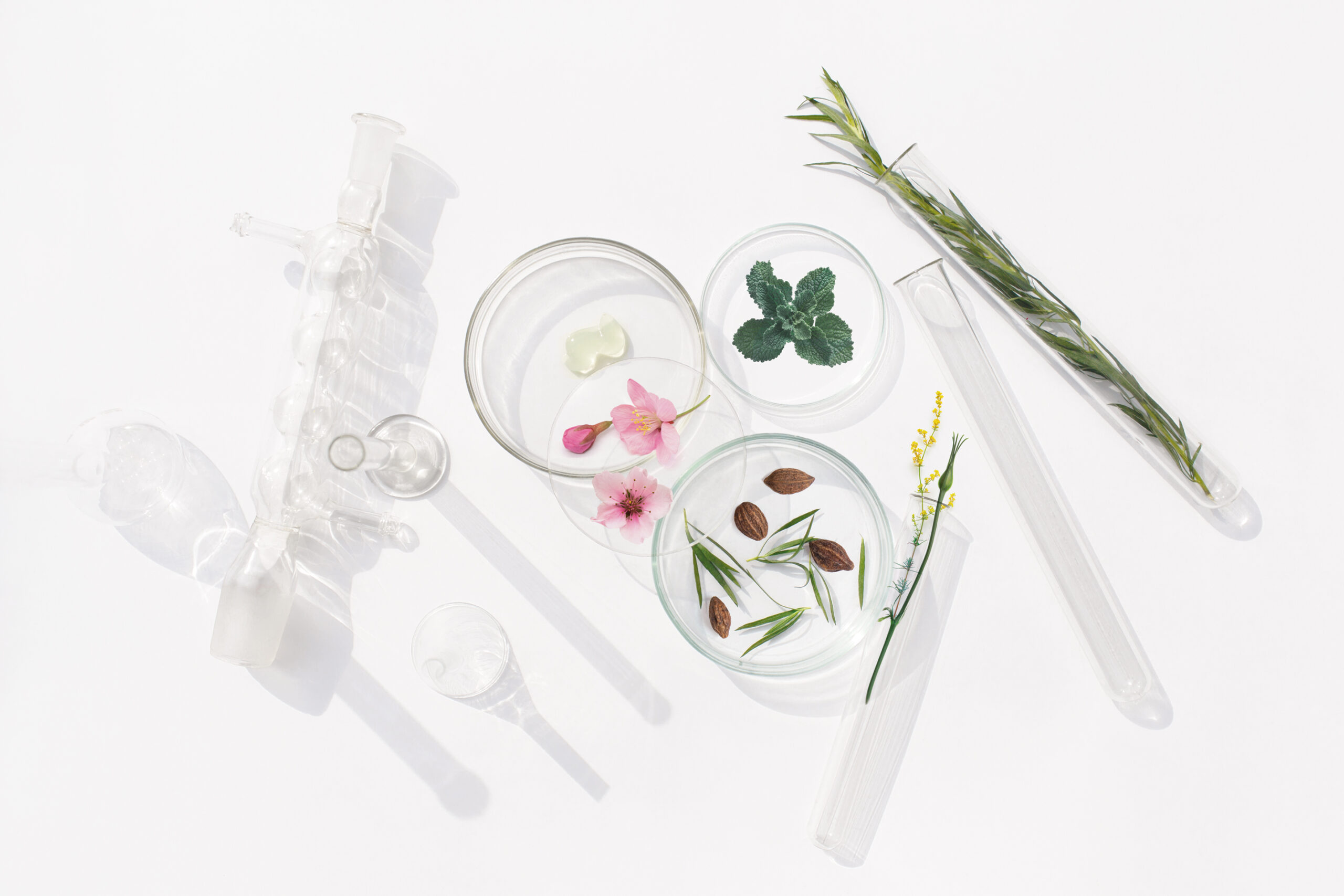 An integrated research laboratory